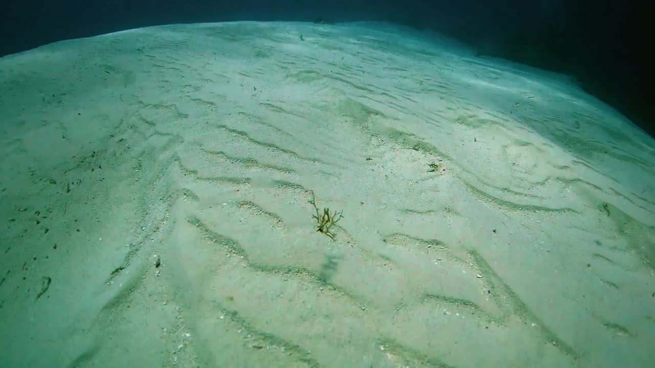 沿着沙质海底视频下载