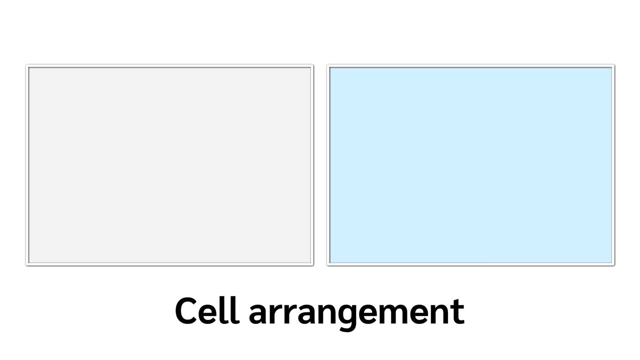 细胞类型和细胞排列视频下载