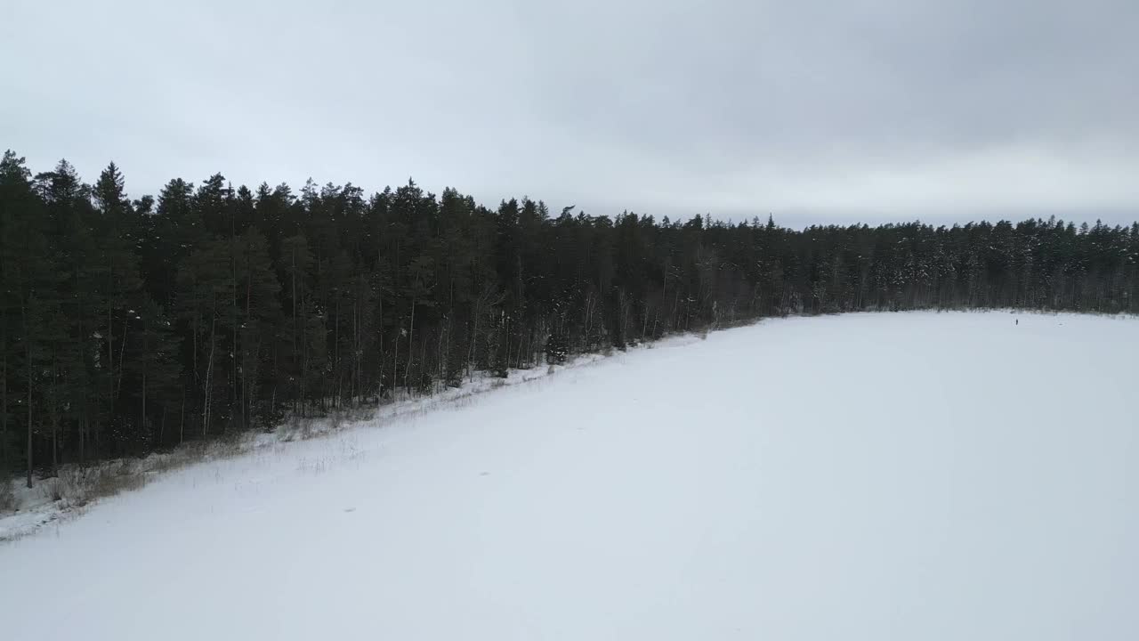 冬季森林自然冰雪覆盖的冬季树木高山景观早期假期旅游和旅游霜冻的树顶鲜艳的色彩空中4k视频素材