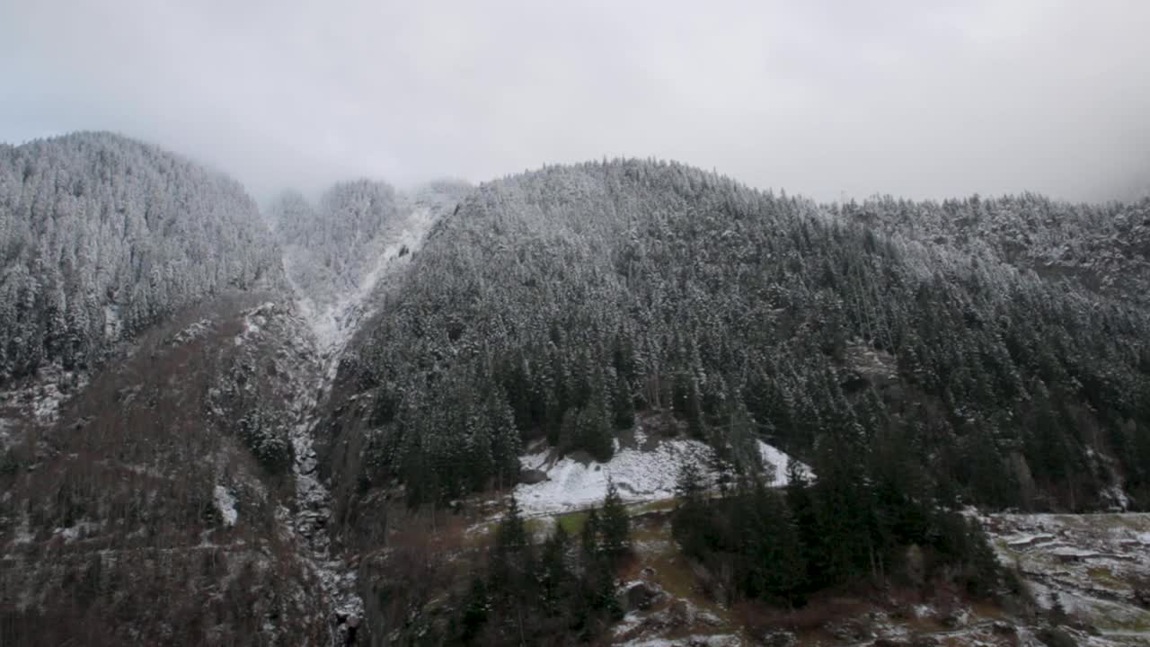 从一辆移动的汽车上看到山上被雪覆盖的树木，阴天视频素材