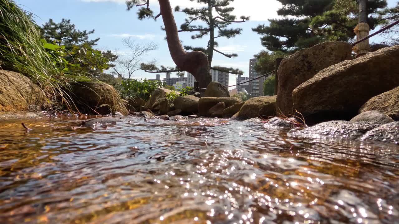 水下溪流之旅穿越大自然视频素材