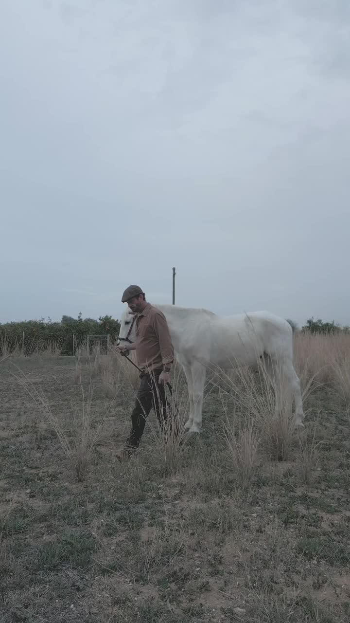 夕阳西下，一位戴着贝雷帽的西班牙牧牛人牵着他的马去牧场。马和人向前走。缓慢的运动。垂直视频。视频下载