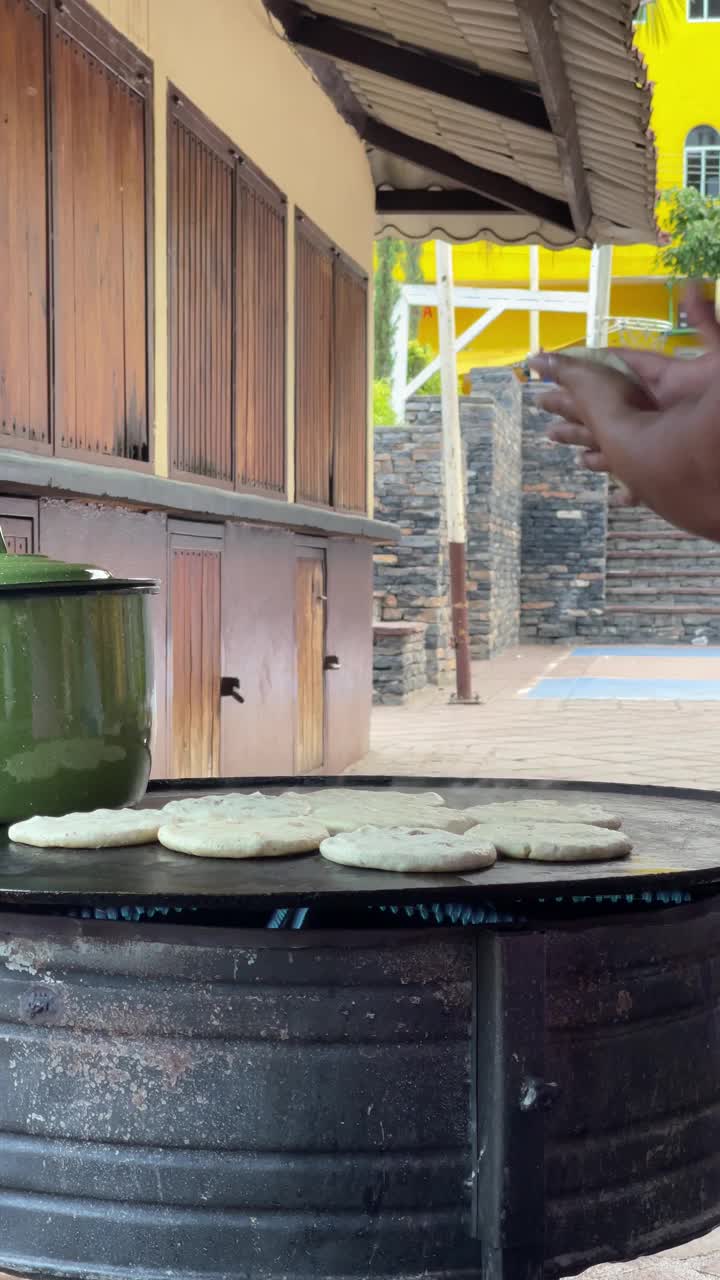 垂直视频制作传统的墨西哥快餐叫和鸟飞行视频素材