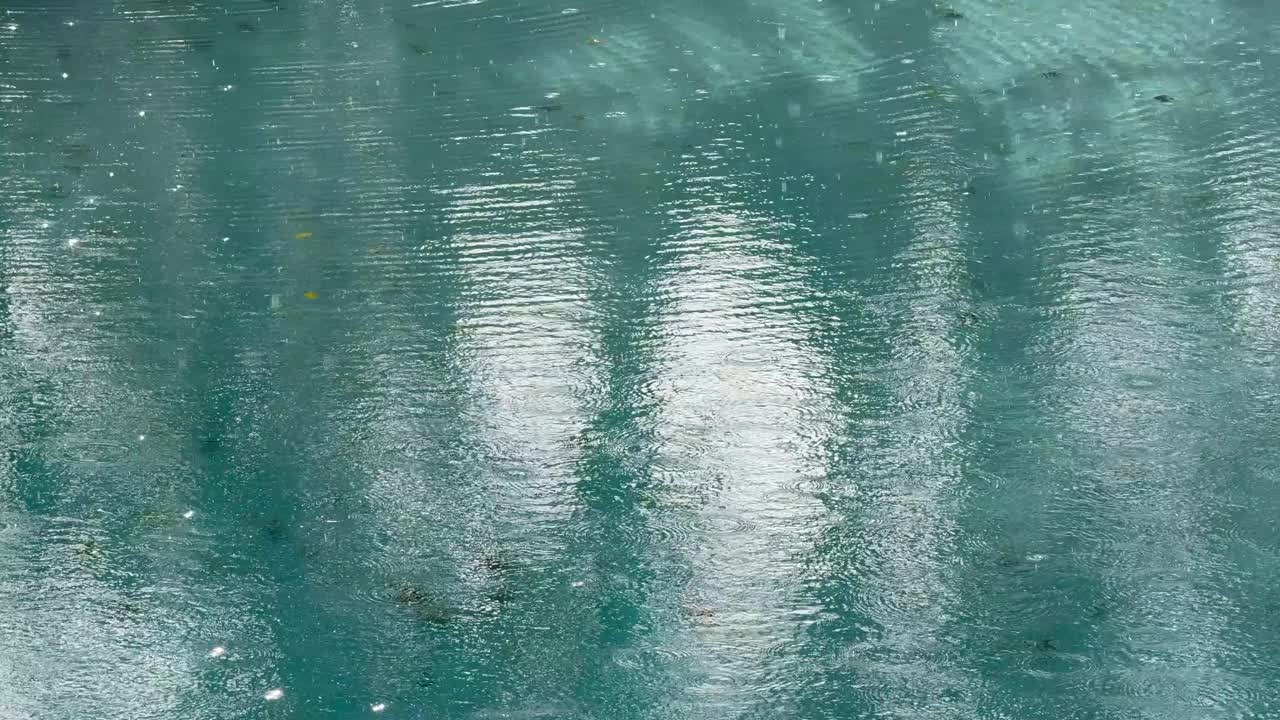 南加州洛杉矶，暴雨期间池塘里的雨滴视频下载