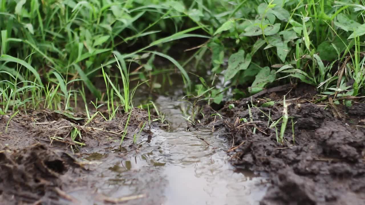 水流入路边的沟里视频下载