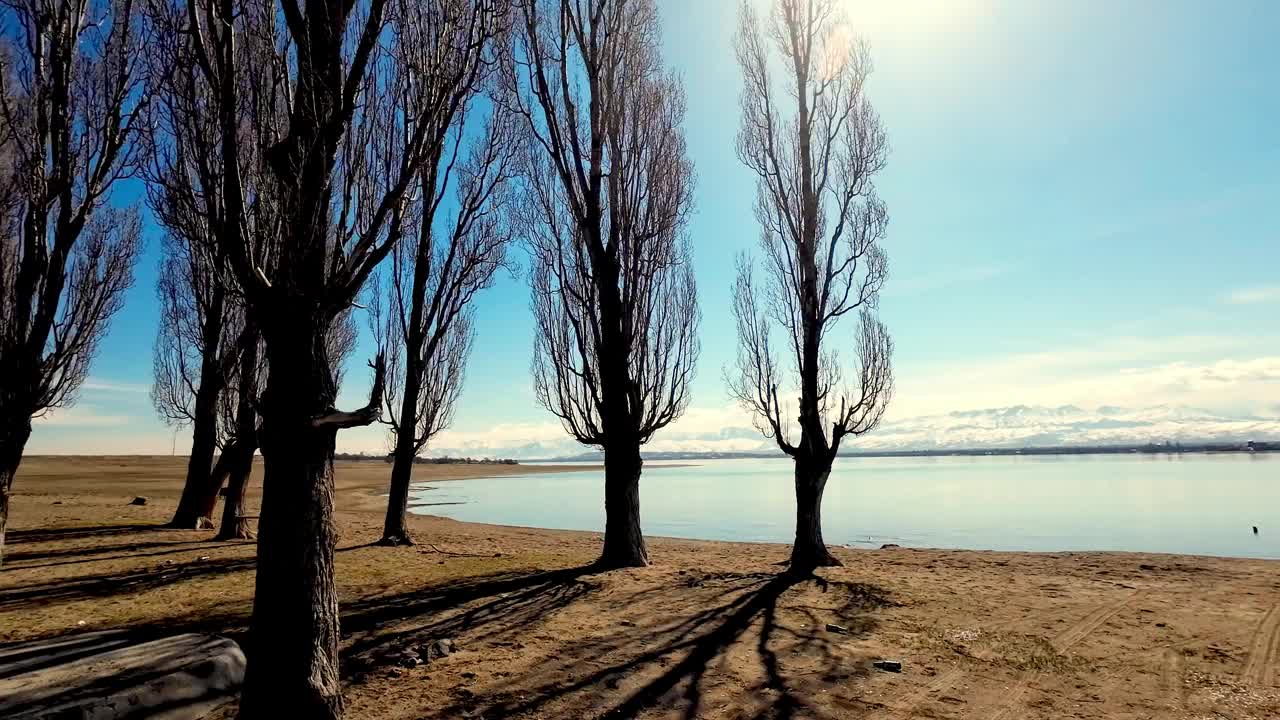 在沙滩上向湖边移动视频素材