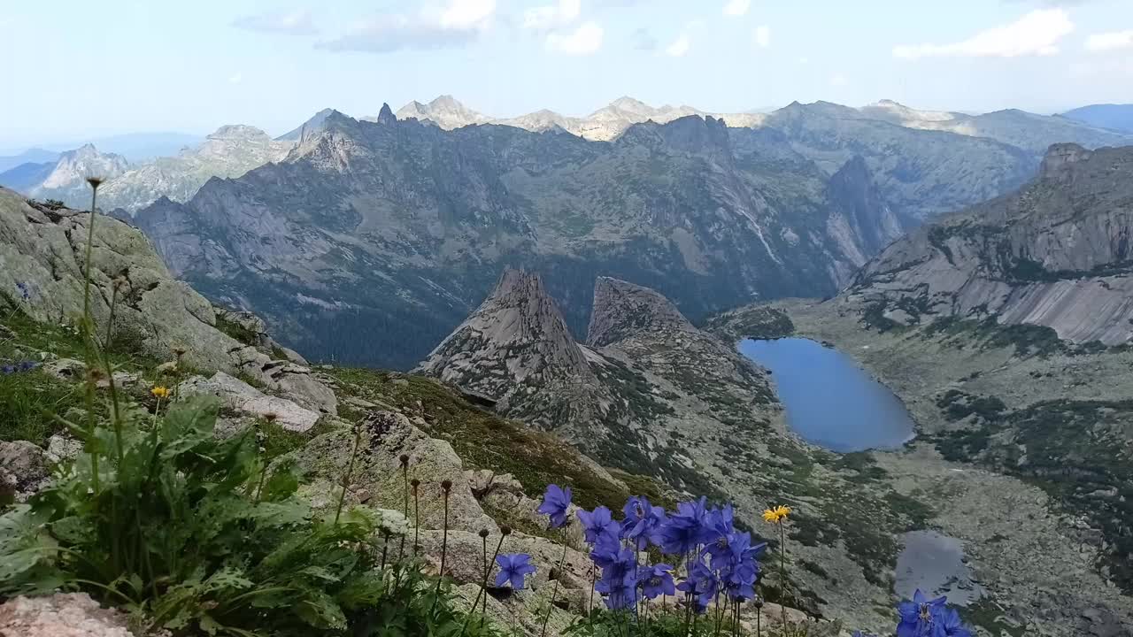 在悬崖顶上，一群蓝色的花随风摇曳，俯瞰着风景如画的湖泊和形状奇特的岩石。视频素材