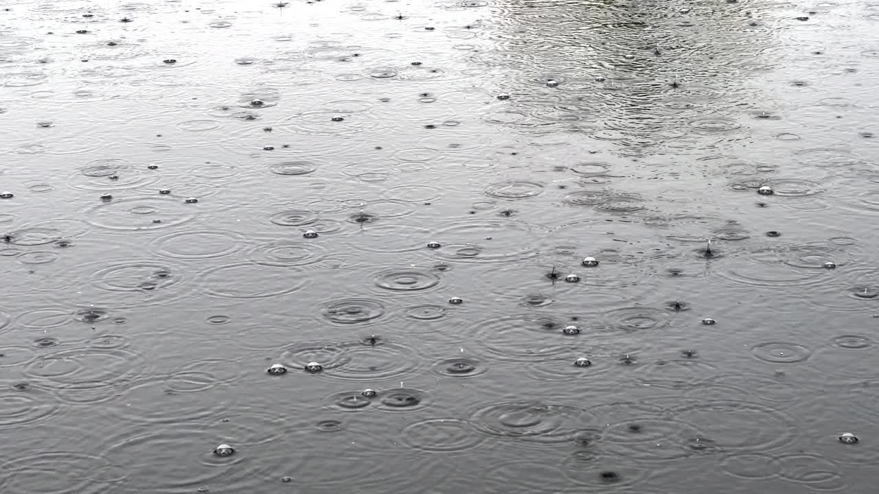 雨天平静水面上的雨滴视频素材