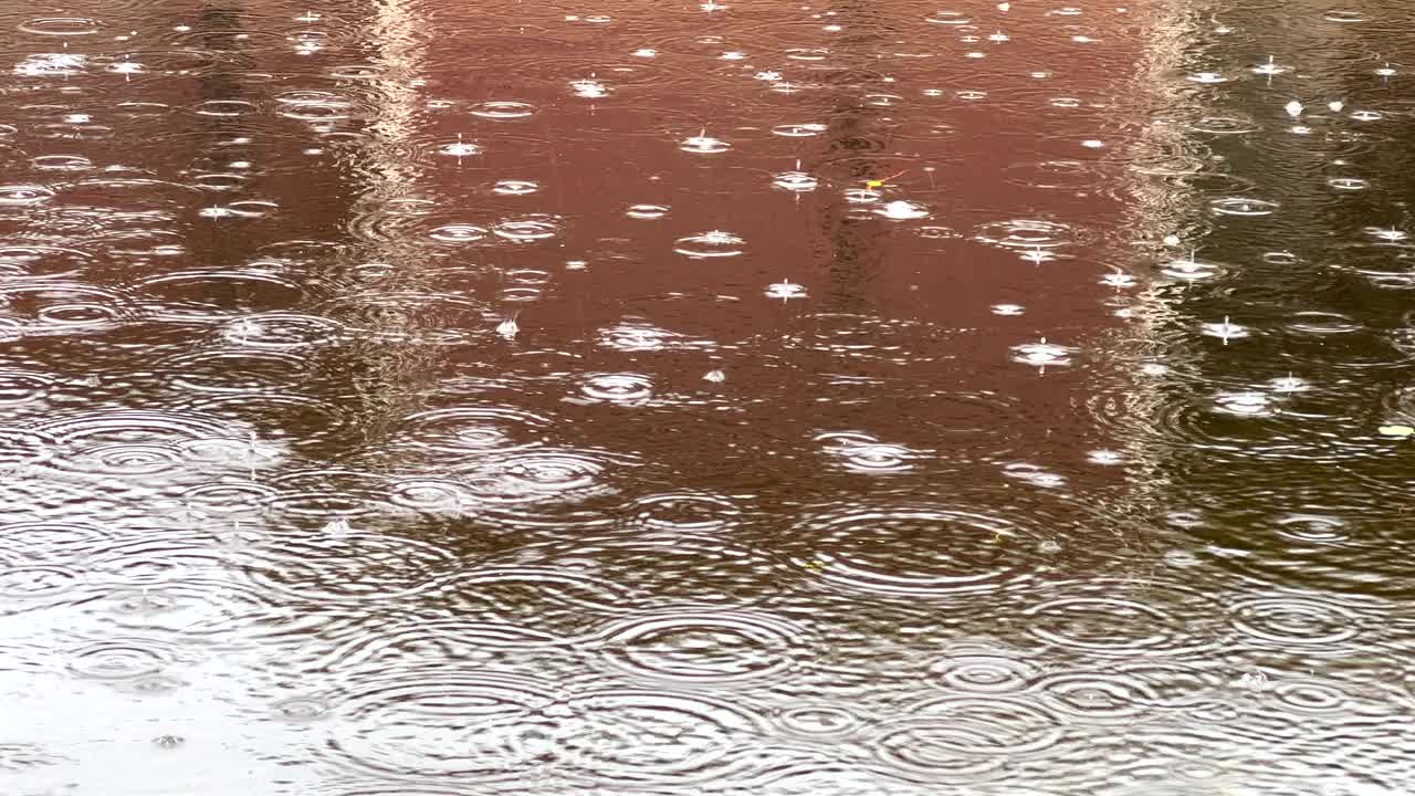 雨天平静水面上的雨滴视频素材