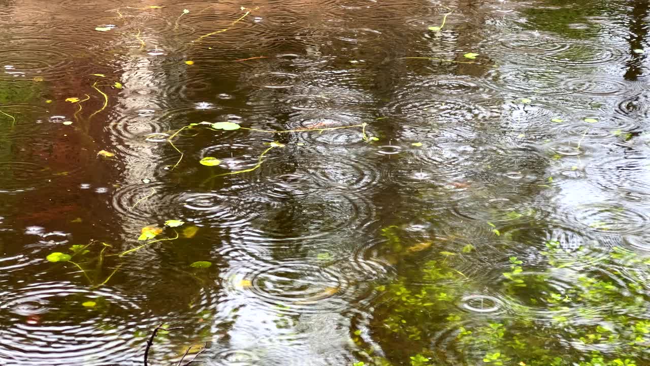 雨天平静水面上的雨滴视频素材