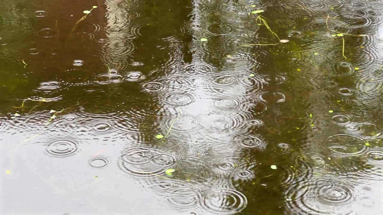 雨天平静水面上的雨滴视频素材