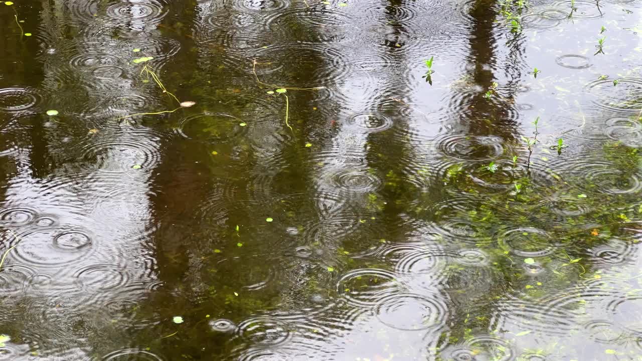 雨天平静水面上的雨滴视频素材