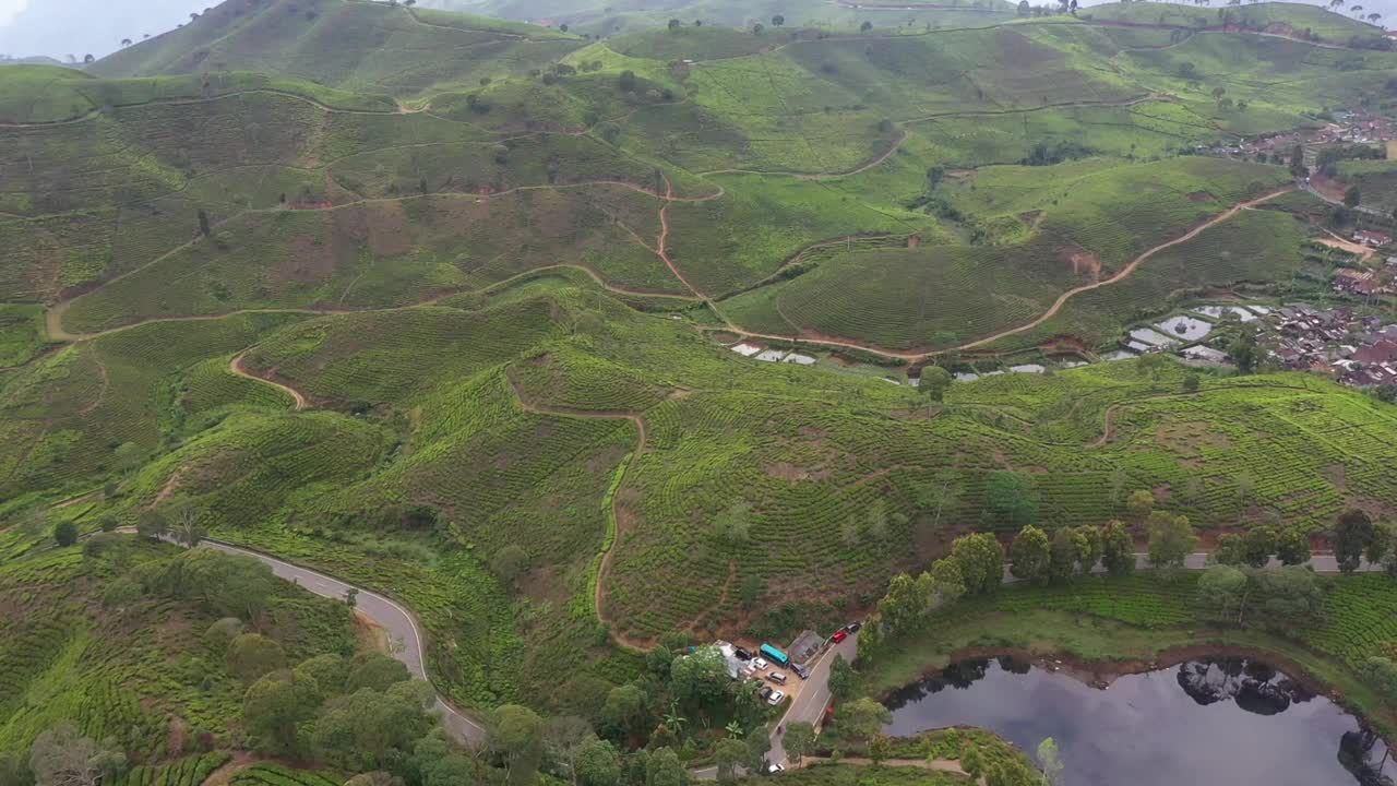 印尼爪哇巴拉特稻田农业鸟瞰图视频素材