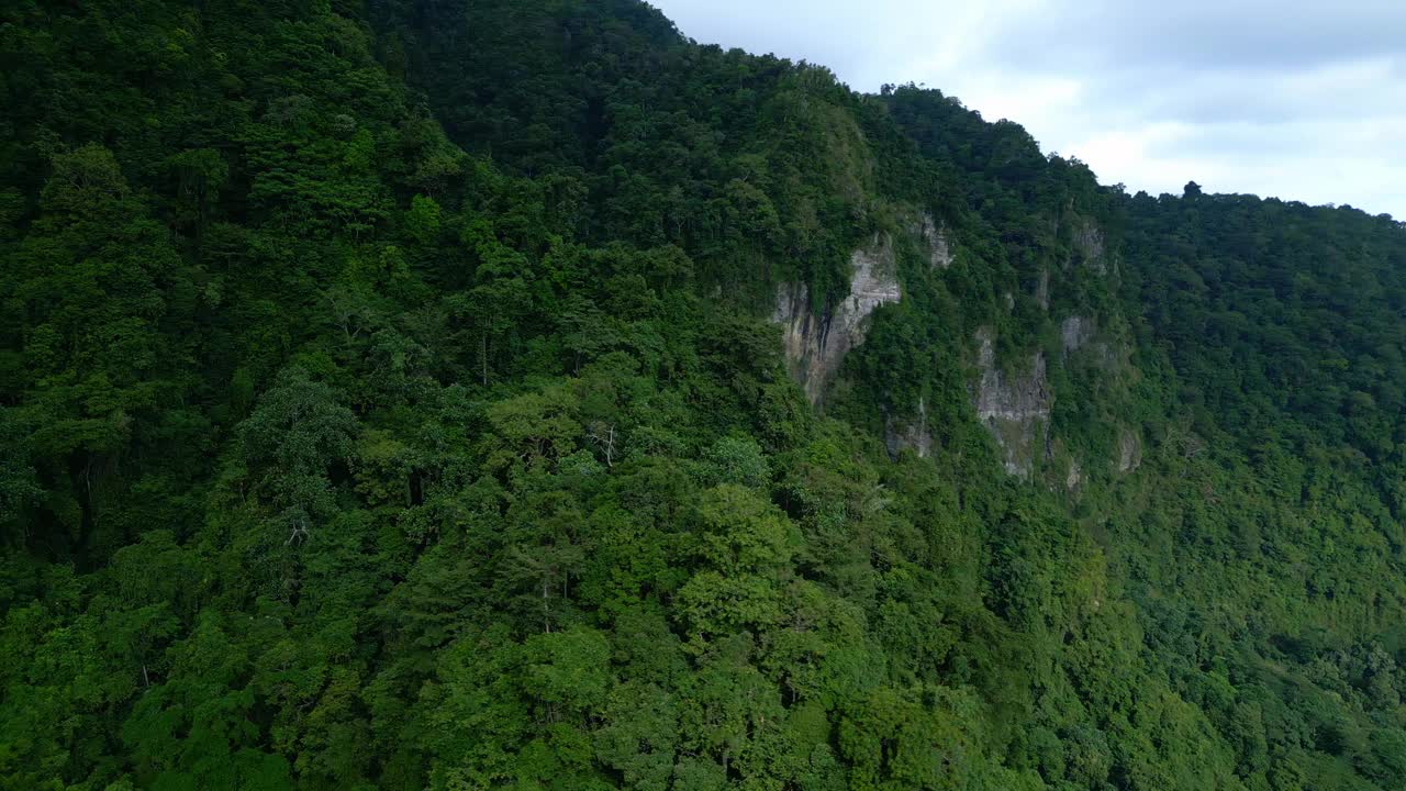 空中无人机在绿色森林树木在美丽的山脉亚洲的土地。印度尼西亚茂密的森林和丛林自然之旅。雄伟的生态和古老亚洲林地的田园环境视频素材