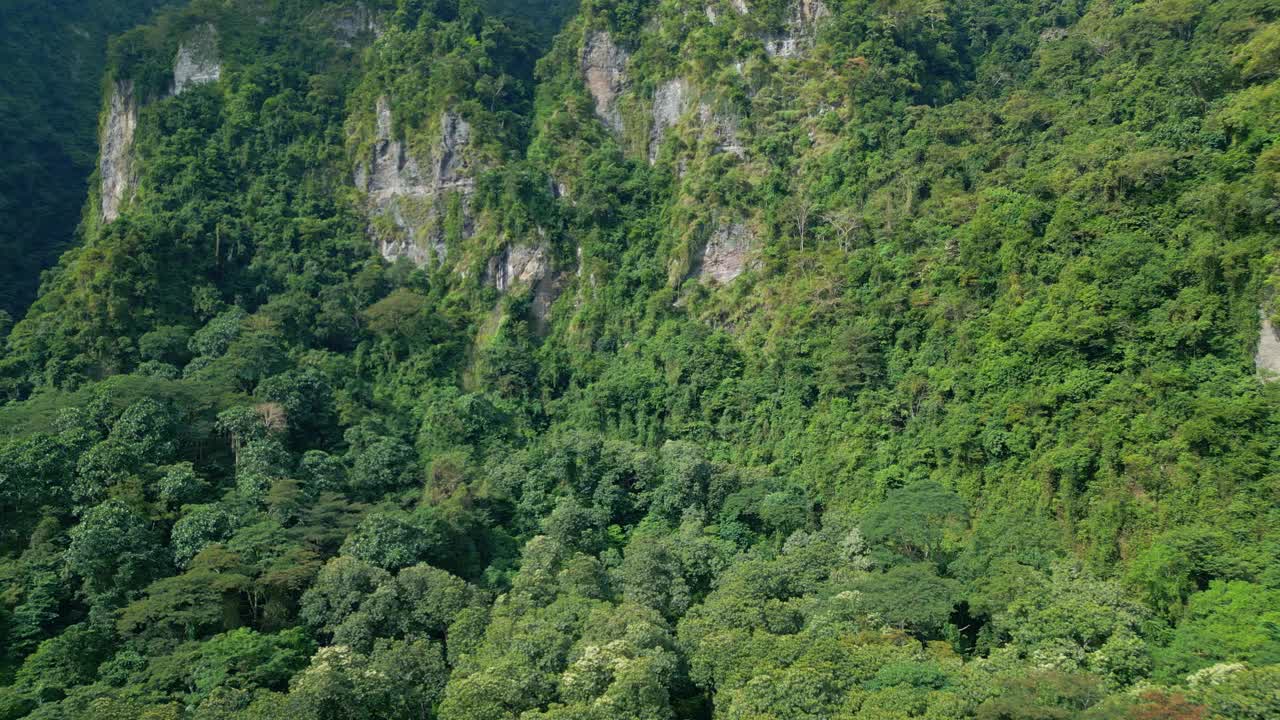 空中无人机在绿色森林树木在美丽的山脉亚洲的土地。印度尼西亚茂密的森林和丛林自然之旅。雄伟的生态和古老亚洲林地的田园环境视频素材