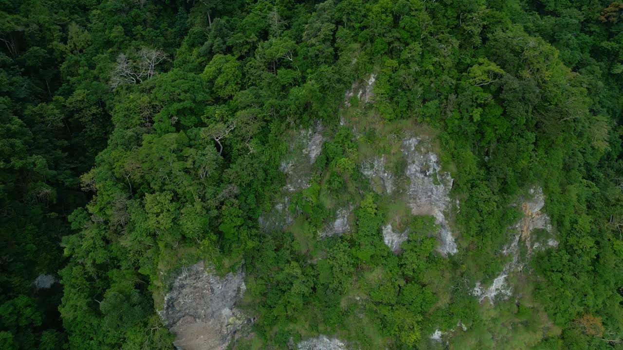 空中无人机在绿色森林树木在美丽的山脉亚洲的土地。印度尼西亚茂密的森林和丛林自然之旅。雄伟的生态和古老亚洲林地的田园环境视频素材