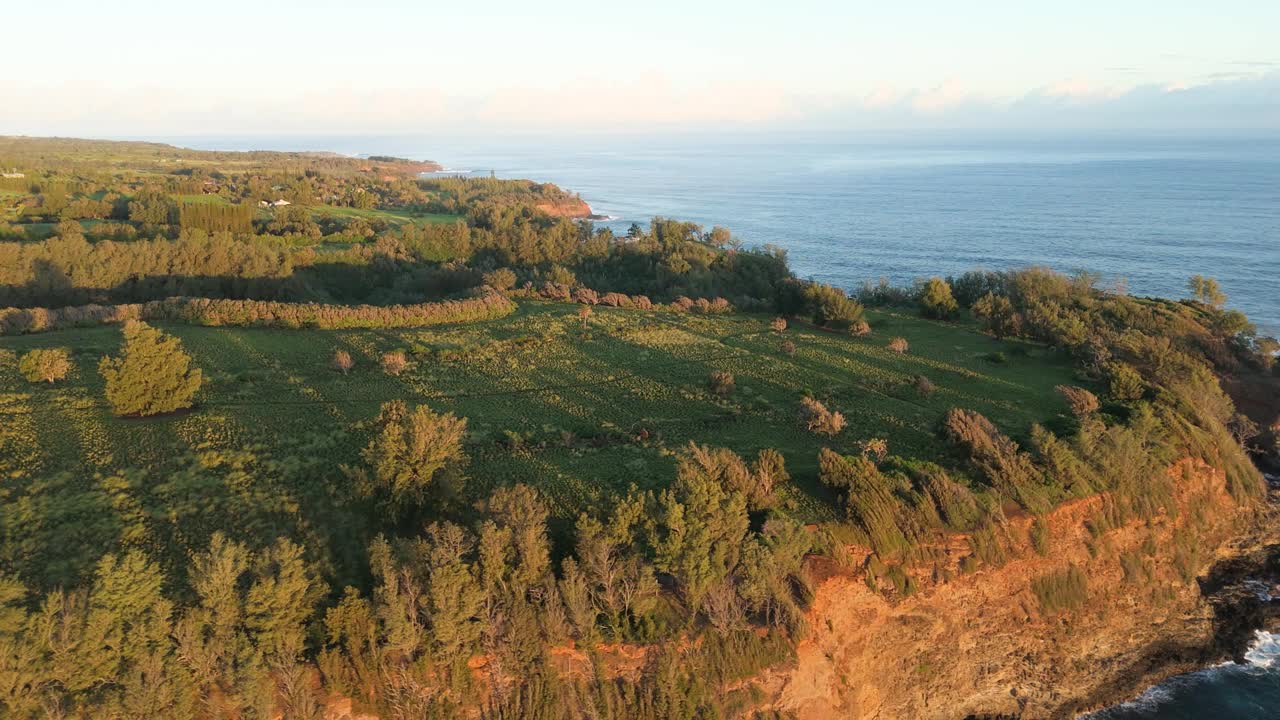 鸟瞰科哈拉美丽的海岸线，夏威夷岛，美国。视频素材