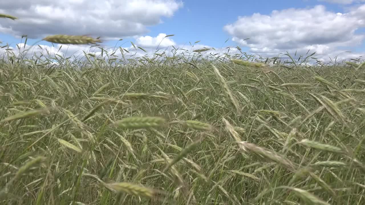 野外自然景观视频下载