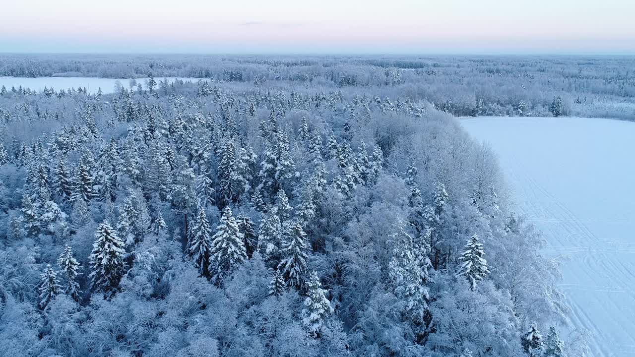 在一个宁静的冬夜，在爱沙尼亚乡村，在田野之间的白雪皑皑的森林中行驶视频素材