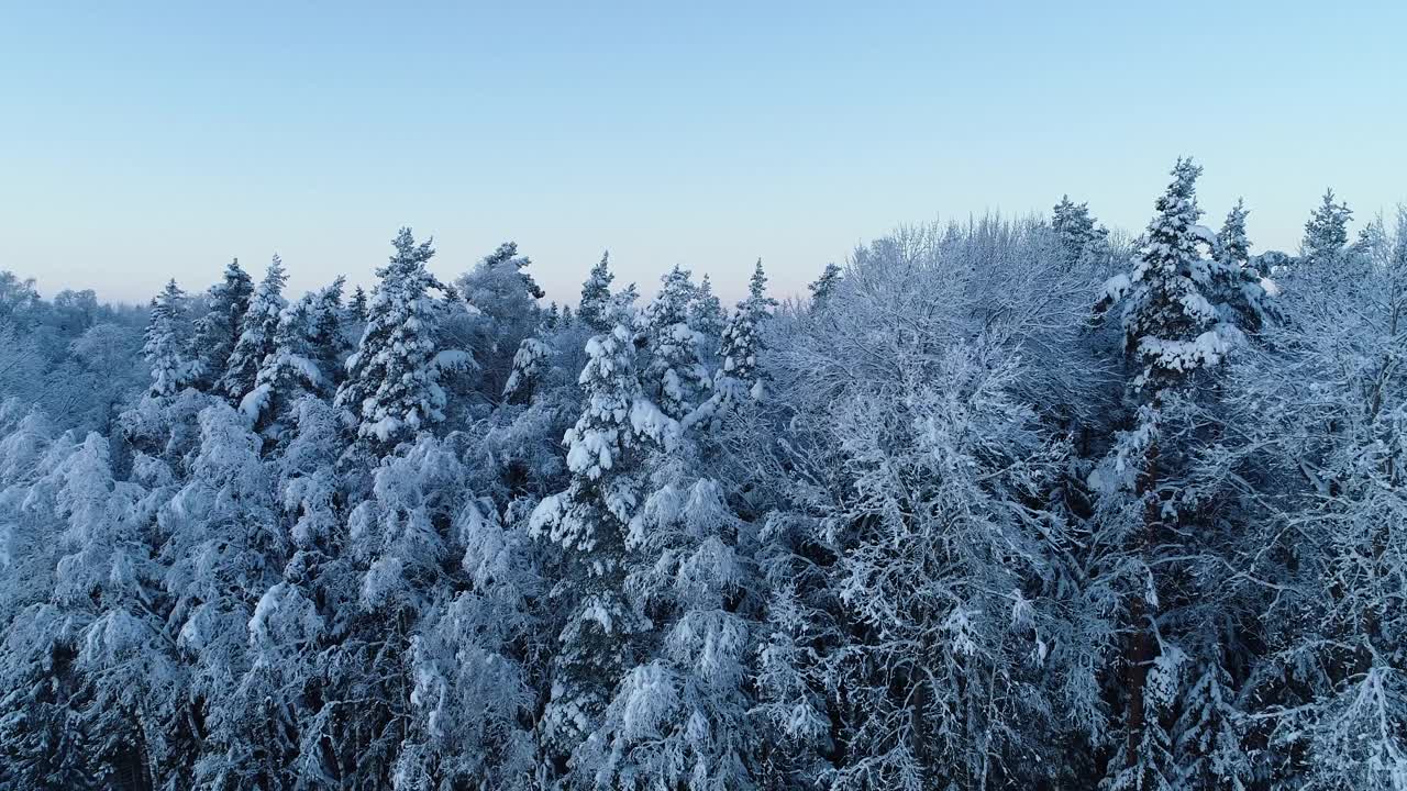 在爱沙尼亚乡村的一个冬夜，从一片白雪皑皑的森林中升起视频下载