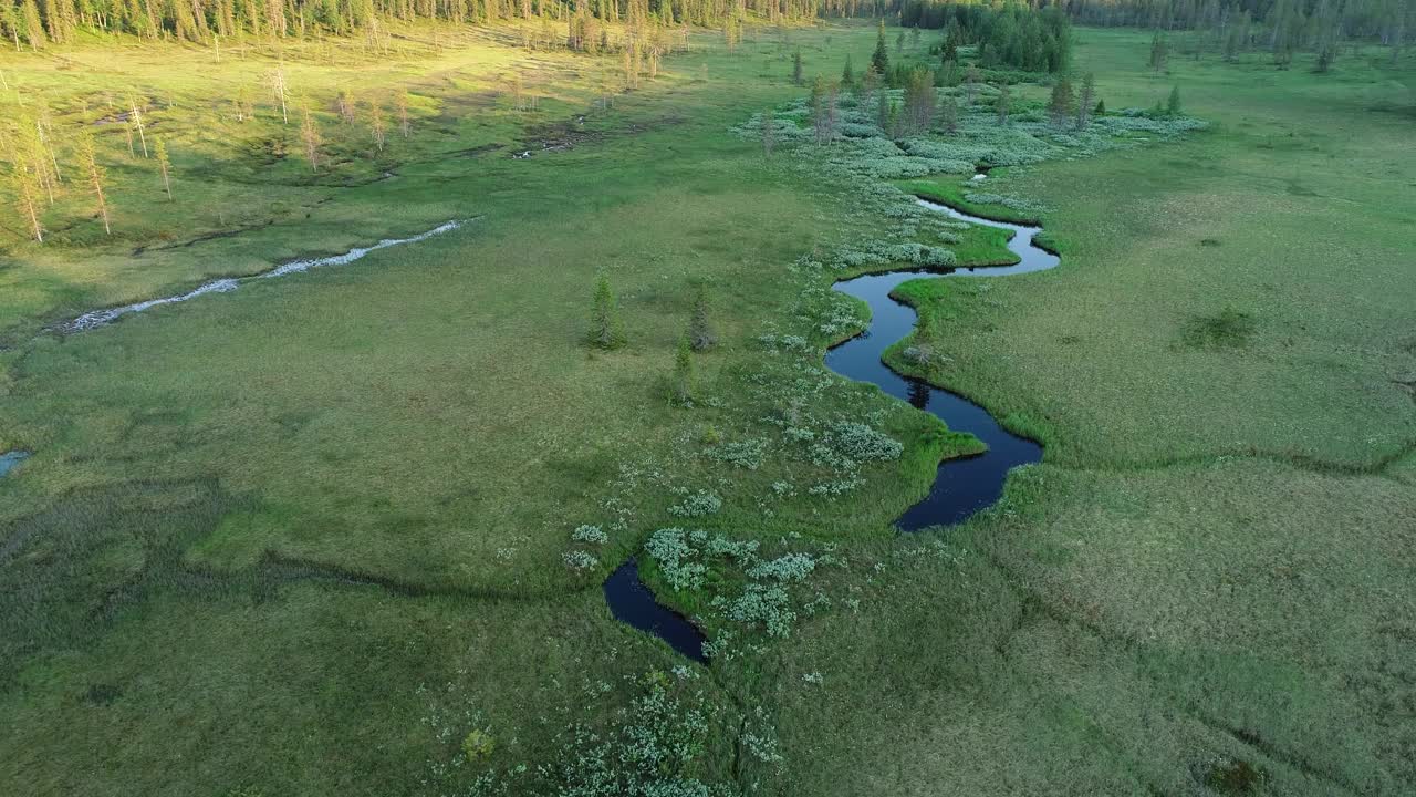 芬兰Riisitunturi国家公园夏季被水淹没的草地上的运动视频下载