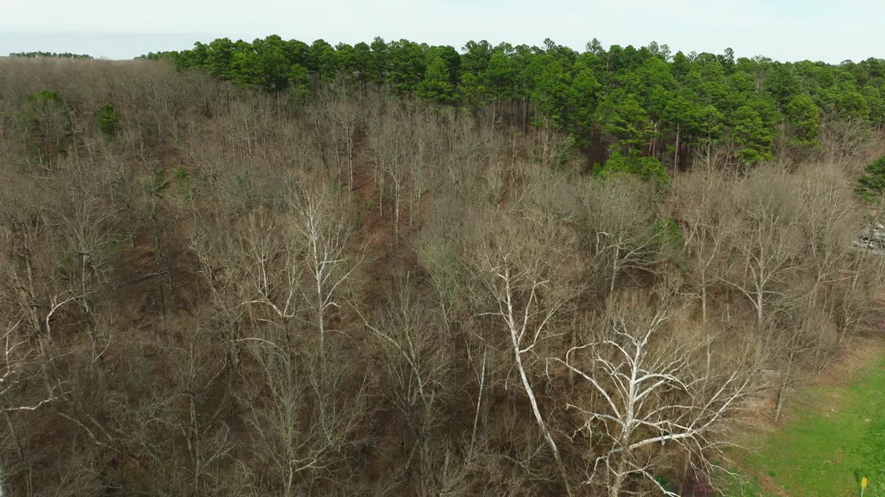 白天在奥扎克国家森林的维丁顿湖的多样化森林，鸟瞰图视频素材