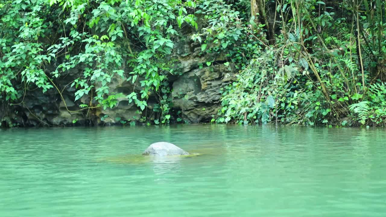 河水和淹没的岩石视频素材