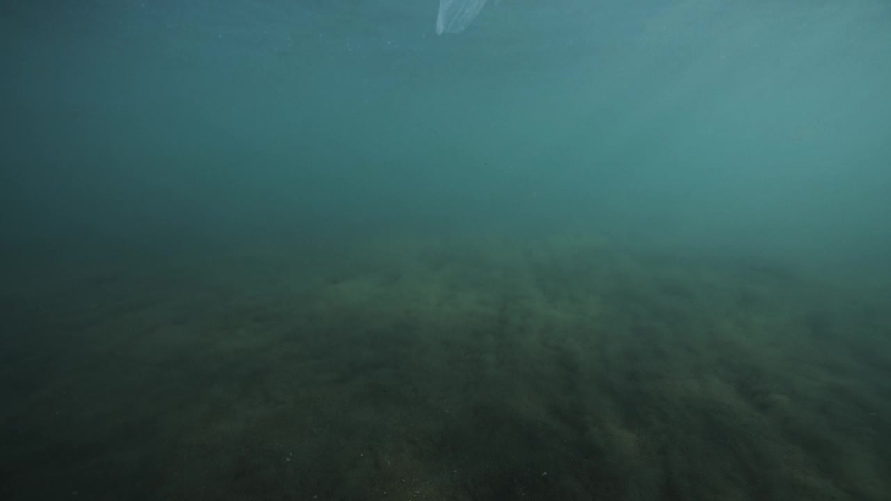 被丢弃在海洋中的塑料瓶视频素材