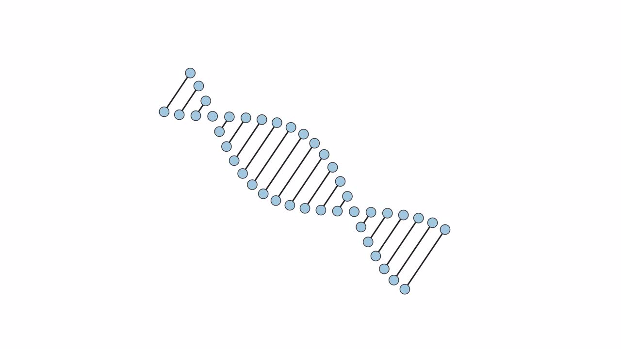 Dna链旋转线2D对象动画视频素材