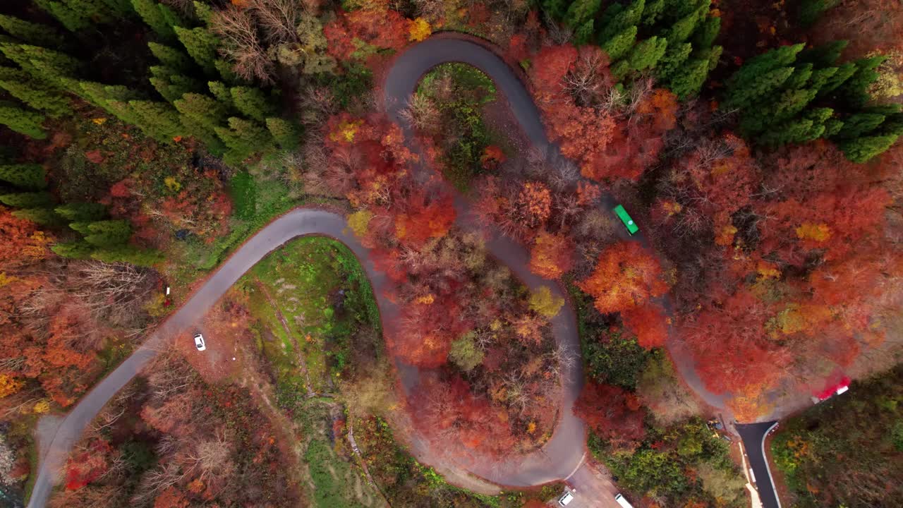 在日本东北青森县，汽车穿过秋日美景的弯弯曲曲的道路俯视图。鲜艳的红色和橙色的树叶点缀着山腰。视频素材