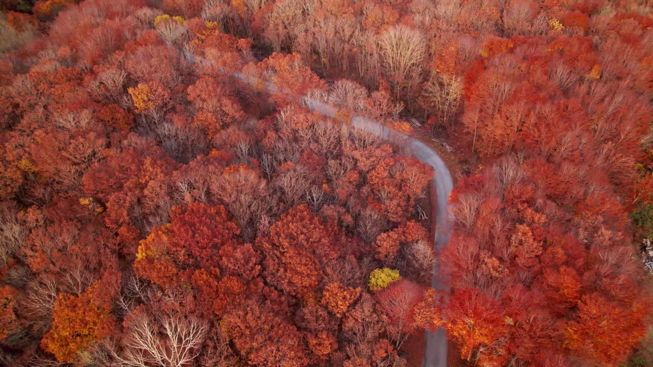 在日本东北，汽车行驶在弯弯曲曲的道路上，穿过博科田山。山中弯弯曲曲的道路涂上了红色和橙色，为场景增添了动感元素。视频素材