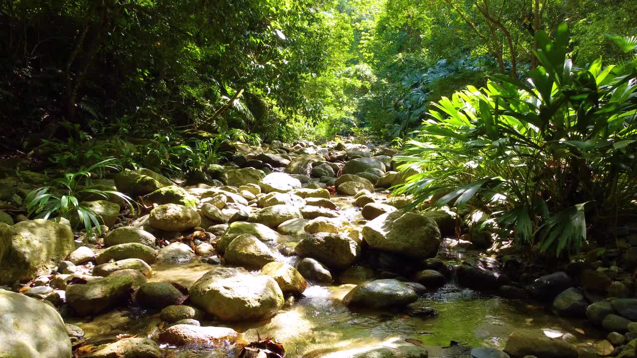 夏天，绿油油的森林里，水流过岩石河。——空中视频素材