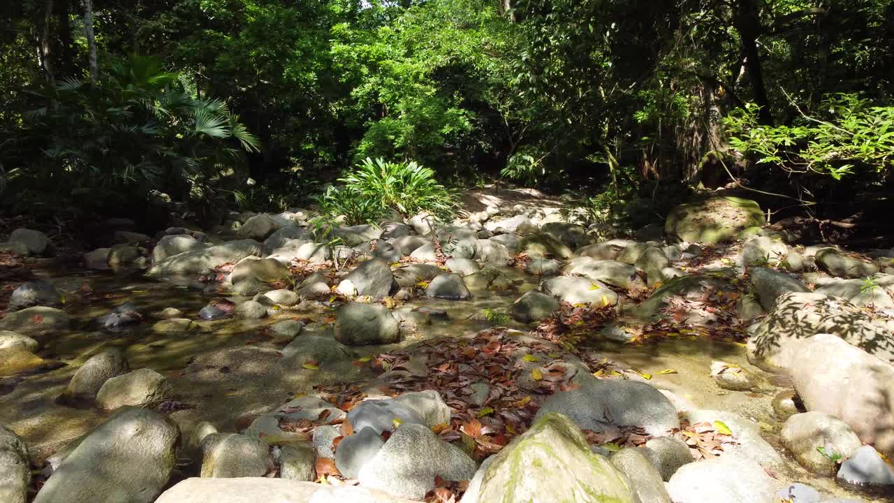 哥伦比亚圣玛尔塔，夏天森林中有植物的岩石河。-航拍视频素材