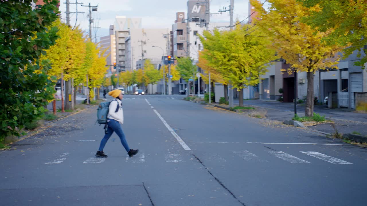 在日本度假或旅行期间，一名游客穿着夹克，戴着帽子，背着背包，穿着暖和的衣服走在人行横道上。宁静的街道和风景如画的一排银杏树创造了一个诱人的景观。视频下载