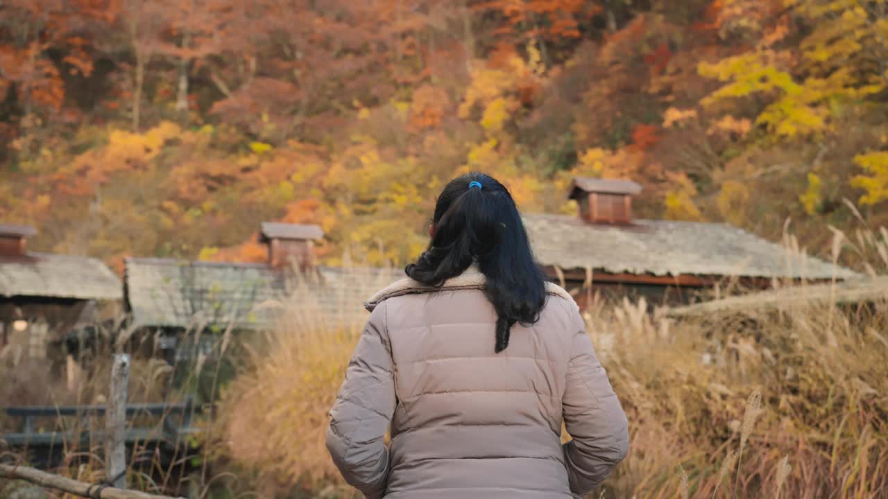 一个放松的亚洲中年妇女欣赏充满活力的秋叶的景色，增加了这个户外逃生的魅力和宁静。这个场景将旅行和替代疗法的好处与荒野的自然美结合在一起。视频素材