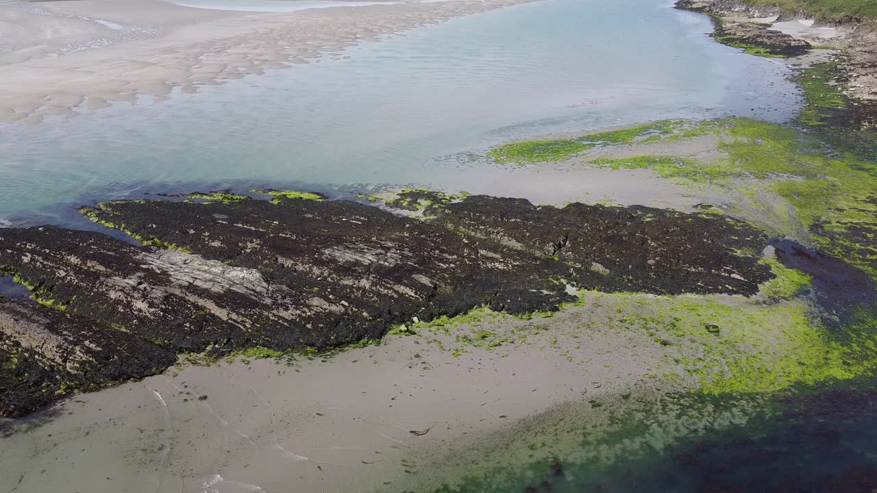 退潮时的海岩和小藻类。海景。视频素材