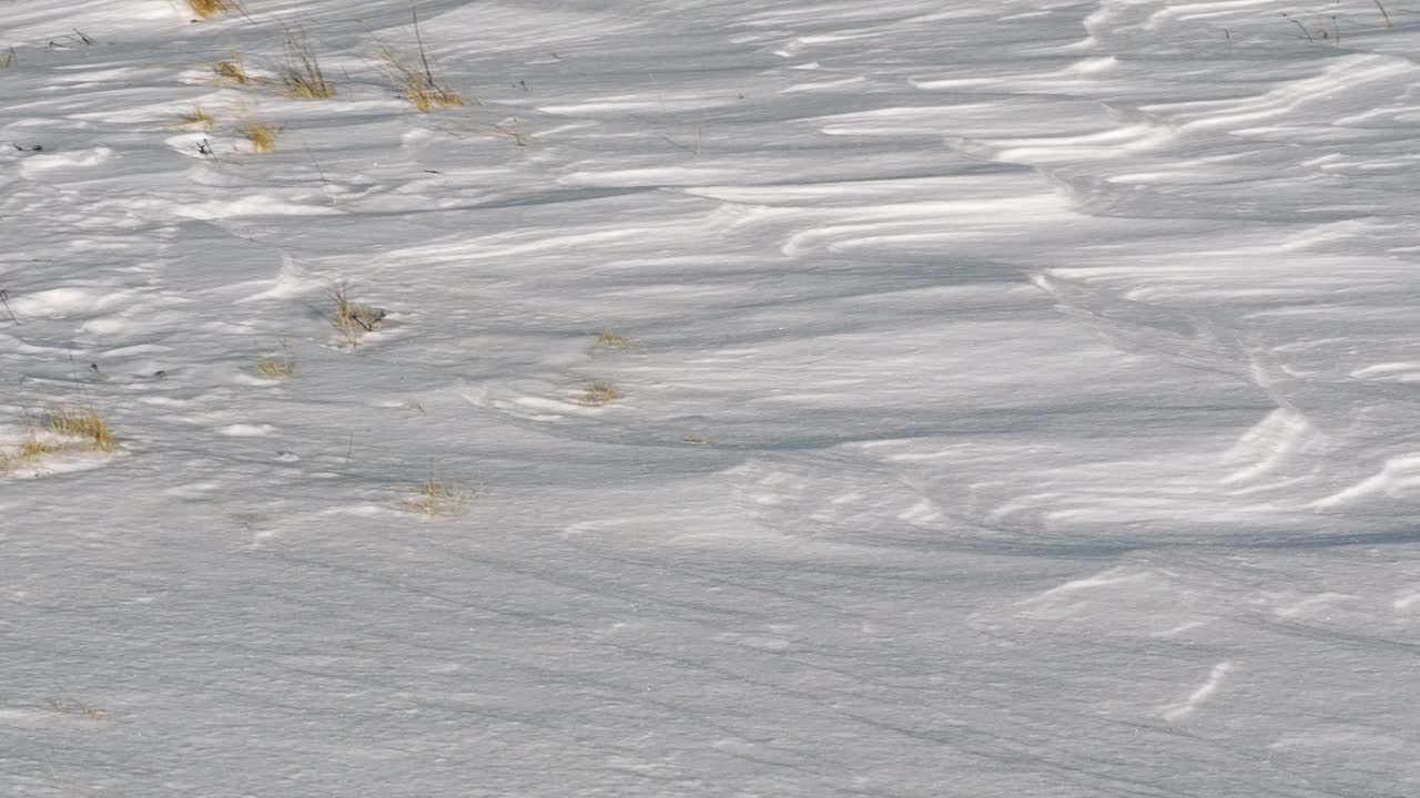 乌克兰喀尔巴阡山脉的雪特写视频素材