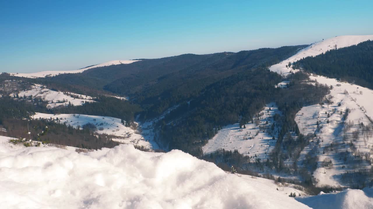 有针叶树的雪山丘陵，喀尔巴阡山脉，乌克兰自然视频素材