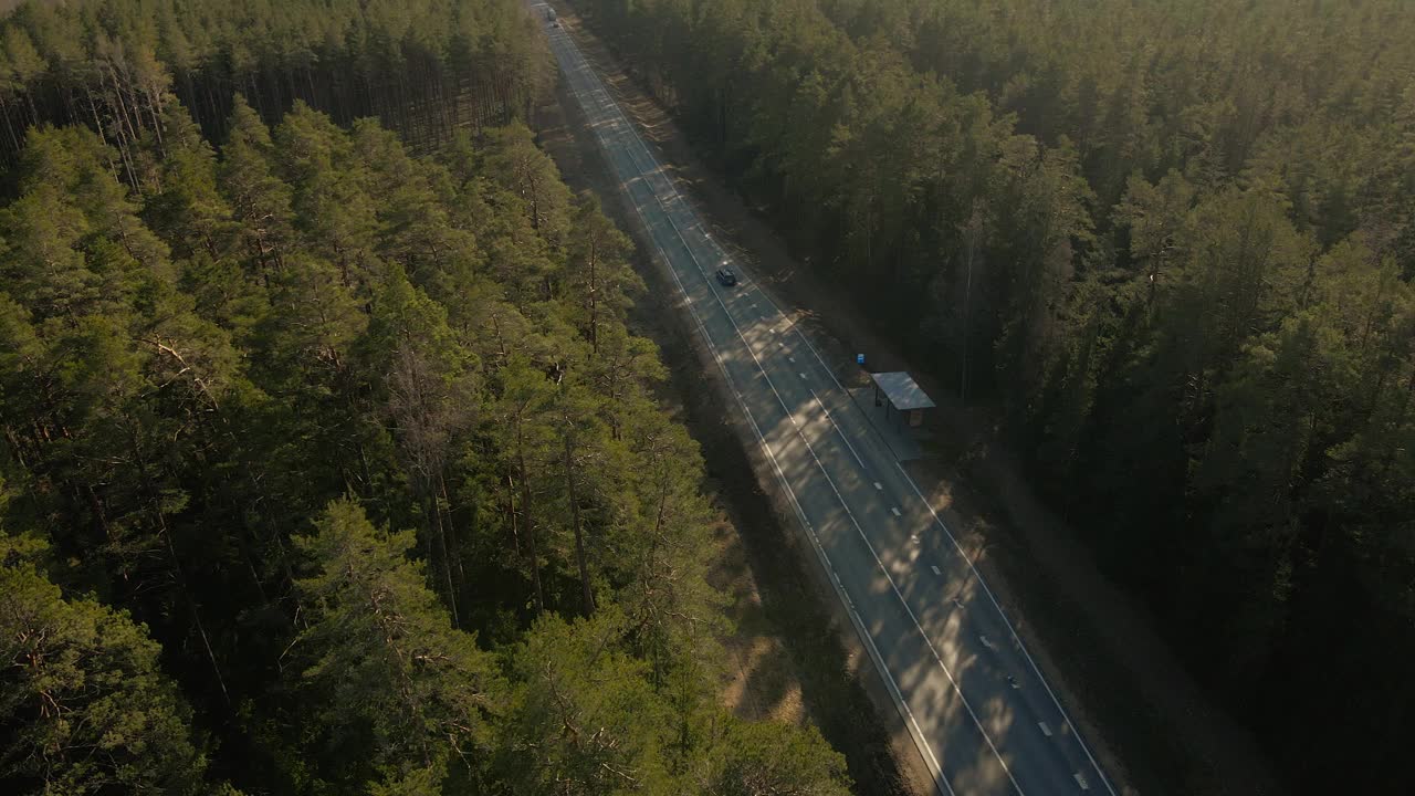 高速公路穿过茂密的森林，周围环绕着绿色植物和高大的树木视频素材