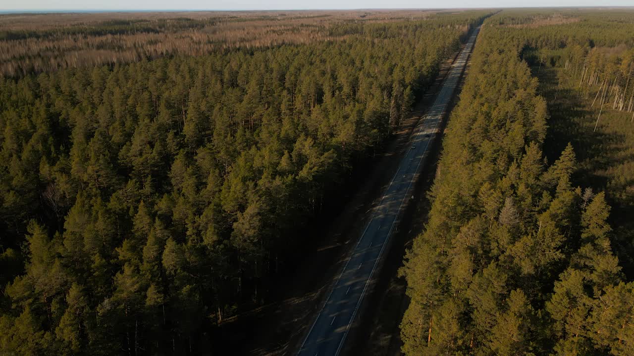 穿越森林的公路:卡车行驶在郁郁葱葱的森林景色中视频素材