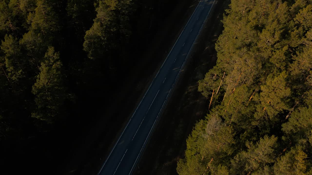 从上面看，卡车行驶在柏油路上穿过森林视频素材