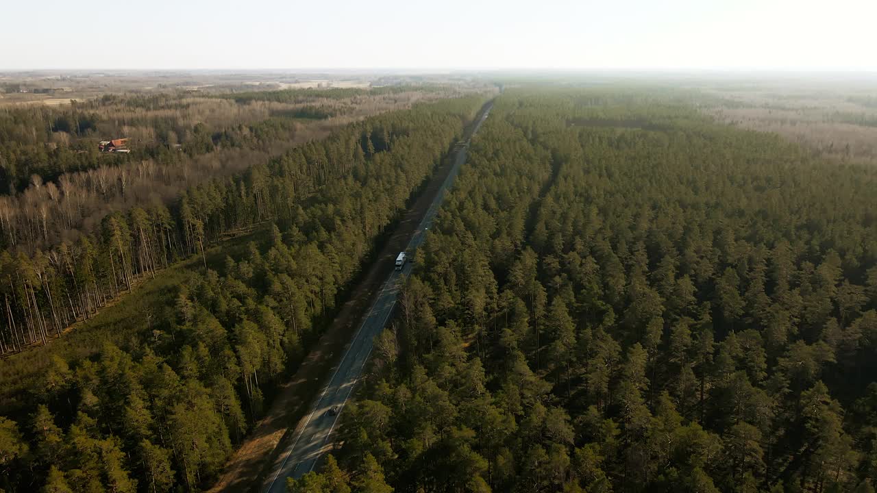 林地公路:卡车穿过茂密的森林和参天大树视频素材