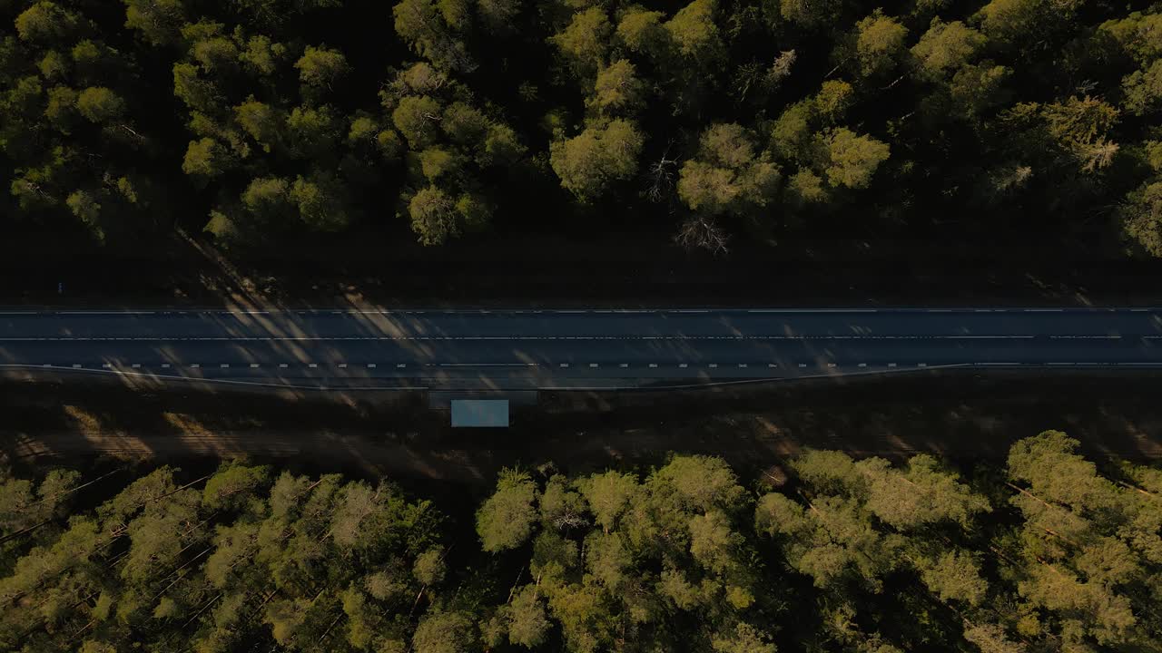 林中高速公路:卡车行驶在郁郁葱葱的森林景色中视频素材