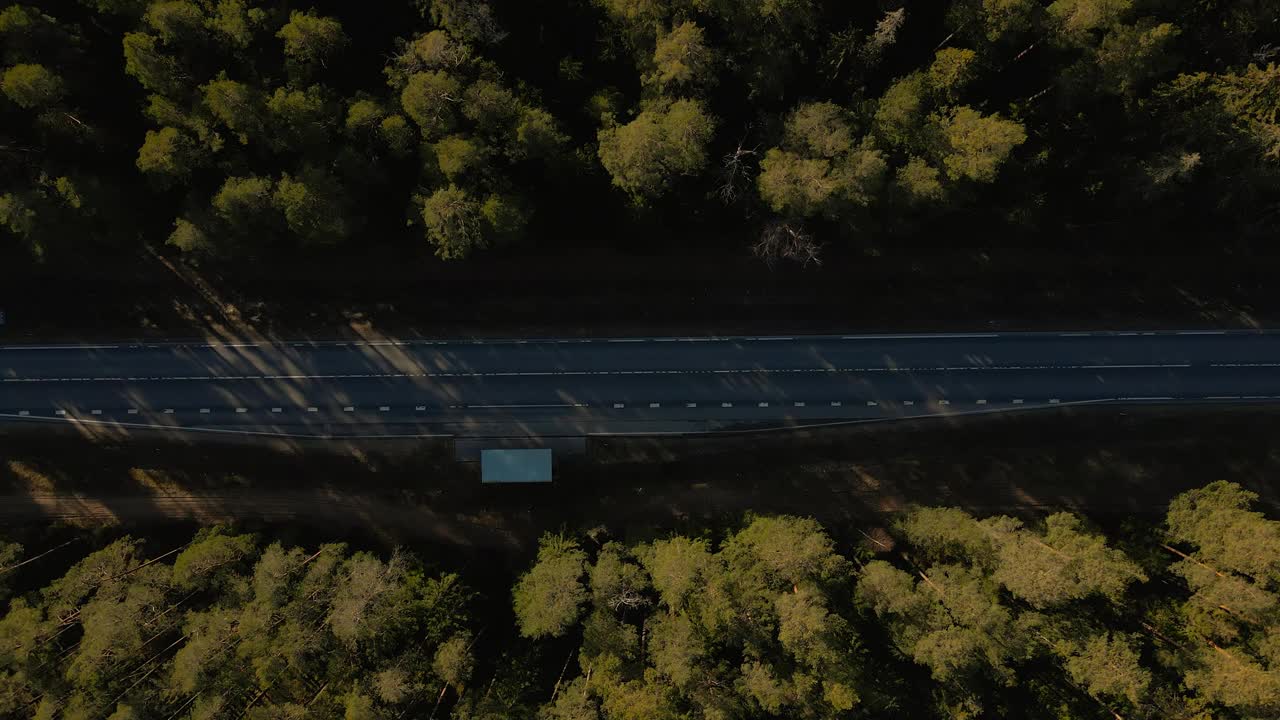 森林路线:卡车沿着风景公路穿过高大的树木视频素材