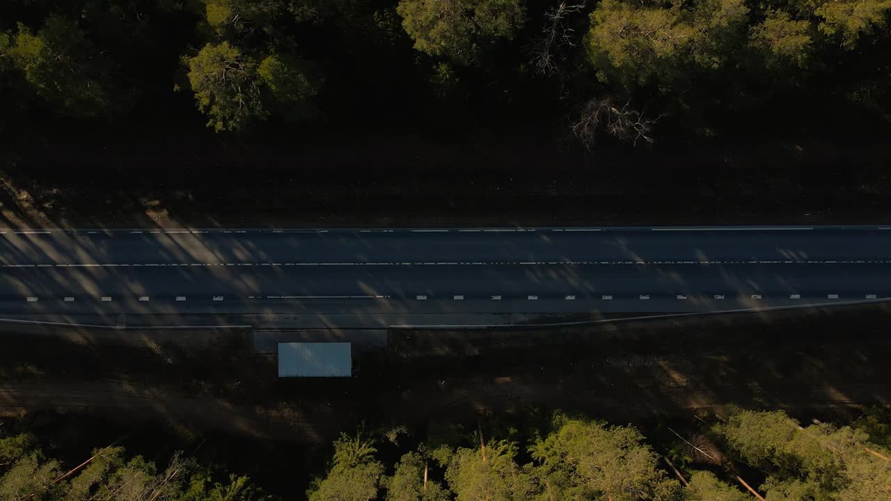 绿色走廊:卡车沿着公路穿过茂密的森林视频素材