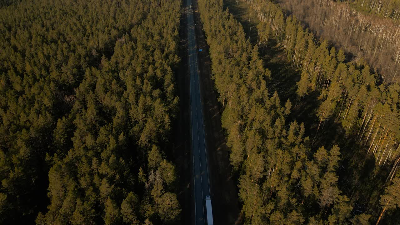 树木繁茂的公路:卡车行驶在茂密的森林景观中视频素材