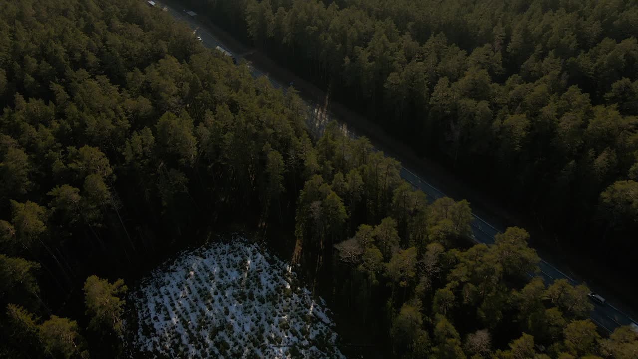 卡车运输:车辆在高速公路上穿过绿林视频素材