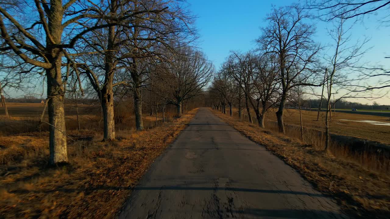 阳光明媚的日子鸟瞰绿树成荫的柏油路视频素材