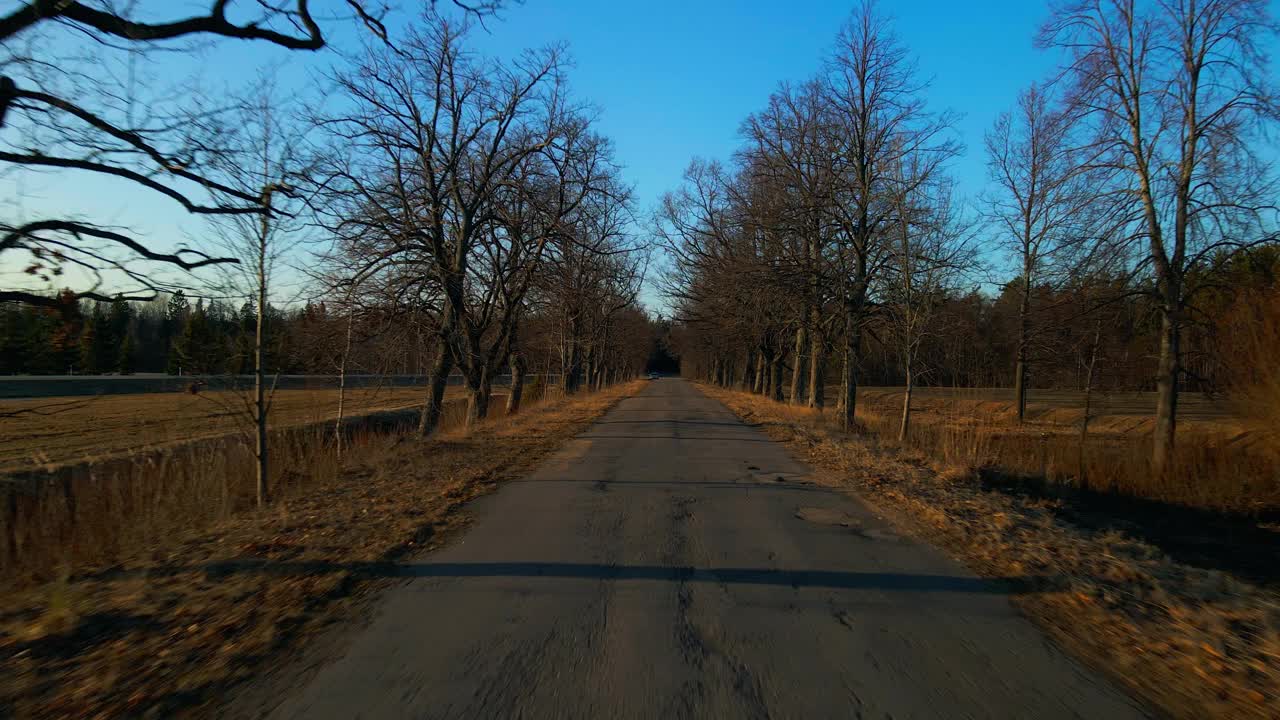 鸟瞰图:阳光明媚的日子里，航拍到的柏油路两旁有树视频素材