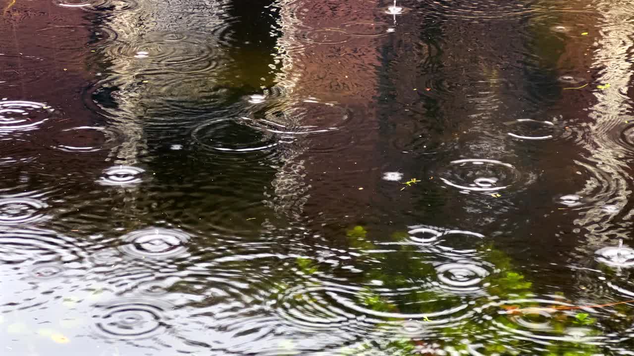 雨天平静水面上的雨滴视频素材